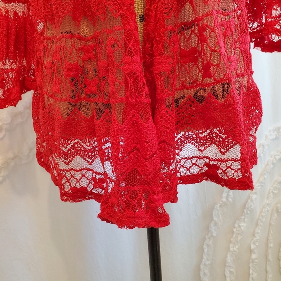 Sheer Red Lace - Picture 2 of 9